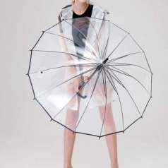 투명장우산, 투명우산, 투명자동우산, 우산