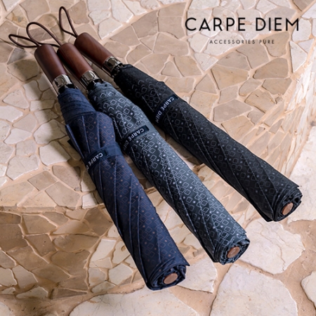 카르페디엠 3HHC052 2단자동우산 #2