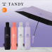 작은이미지: 탠디 6K 뉴슬림 완전 자동우산 #2