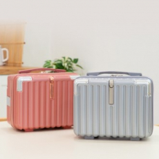 쿨린 미니 알루미늄 캐리어 004