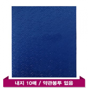 모닝 세종진곤(10P) -부동산 파일 바인더