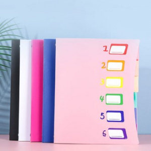 나는용 CJH646 6단 분류 서류바인더