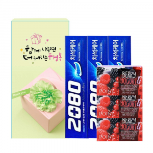 애경 2080치약 + 포인트 비누 세트