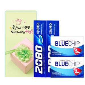 애경 2080 블루치약 + 블루칩 비누 세트