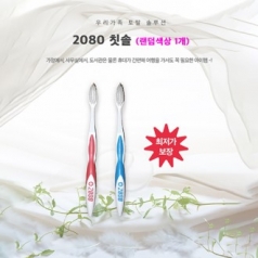 여행용 휴대용 치약칫솔 세트용 - 2080 미세모 칫솔 5호 1개