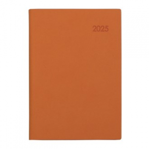 AP13 스프링 다이어리 32절  오렌지