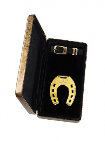 편자모양 금판지 네임텍(小) 가죽끈 하드케이스 골프세트 - H7 #2