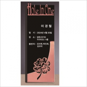 크리스탈 홀인원 골프 트로피 253