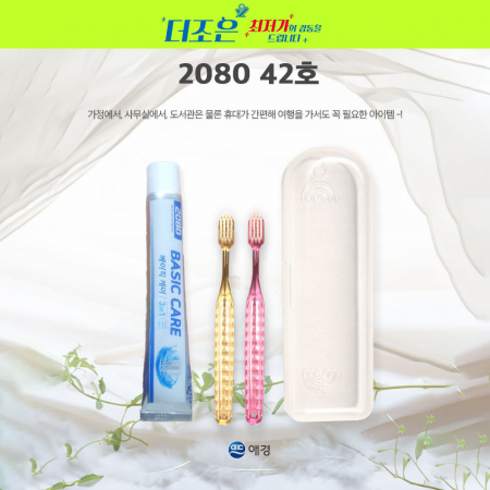 페리오 42호, 페리오 치약 50g + 국산 슬라이스 칫솔 + 보온병형 케이스 #3