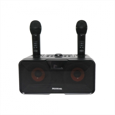 머레이 블루투스 듀얼마이크 휴대용 노래방기기 BLUE EYE + usb형 미니 미러볼 #6