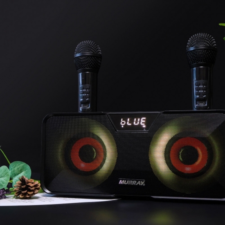 머레이 블루투스 듀얼마이크 휴대용 노래방기기 BLUE EYE + usb형 미니 미러볼 #8