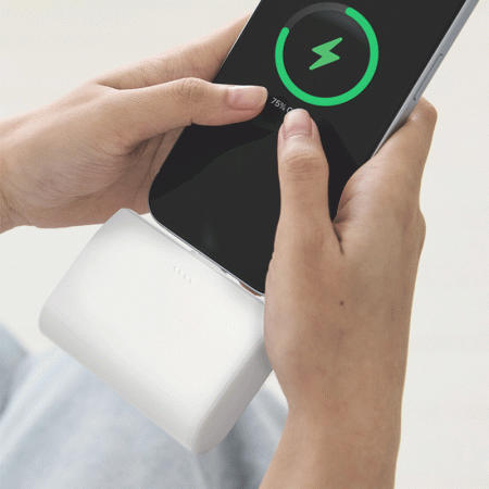 나이테 도킹배터리 10000mAh C타입 // 케이블 분리형 #5