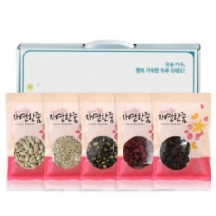 가온애 미소애 견과세트 실속1호(크랜베리100g+건포도100g+해바라기씨100g+땅콩100g+서리태콩100g)