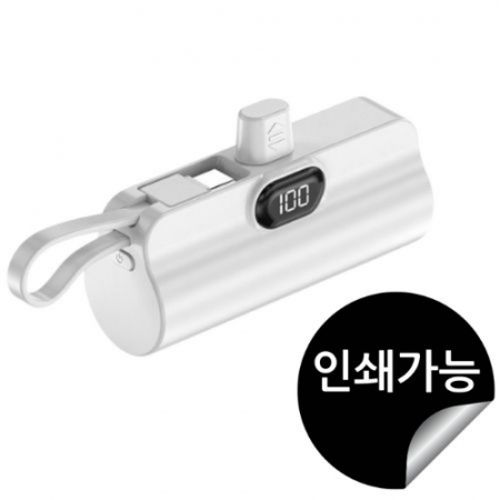 도킹형 c타입8타입 일체형 5000mAh #2