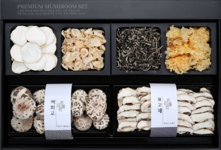 숲속애 백화고모둠6종세트 // 면세 #2