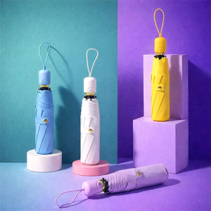 루티네 큐티 자동 암막 양우산