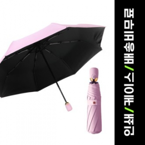 루티네 큐티 자동 암막 양우산