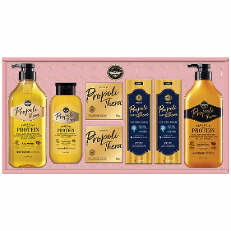 프로폴리테라 에센셜세트 엘지생활건강 명절선물세트 #3