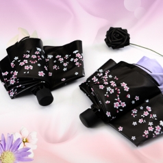 루티네 사쿠라 수동 암막 양우산