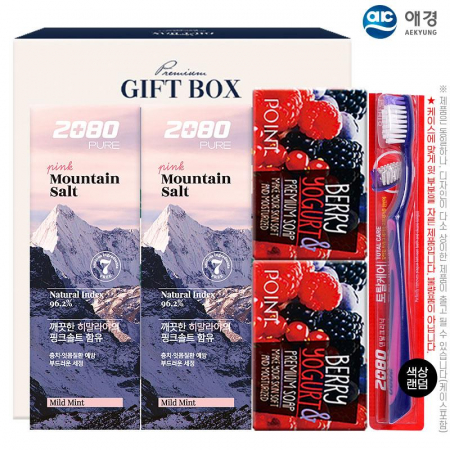 애경 2080히말라야핑크솔트치약100g2P 포인트베리비누2P 2080토탈케어칫솔 5종 #2
