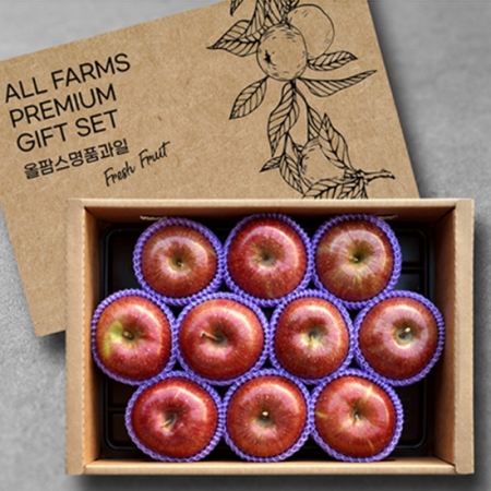특선 안동사과세트 2.5kg, 사과10과, 10+1 #2