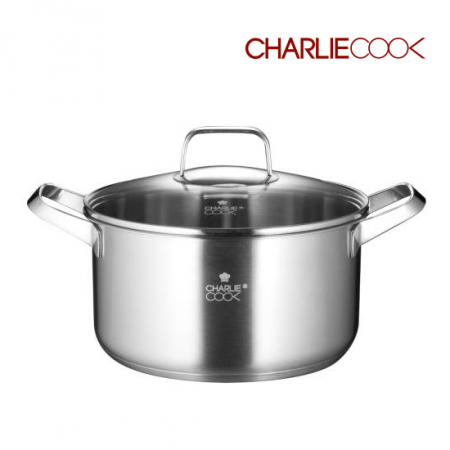 찰리쿡 슈타트 스테인리스 곰솥 24cm #2