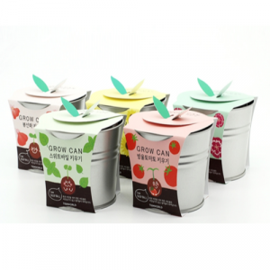 식물키우기 캔화분 씨앗키트 화분기트 유치원만들기키트 봄 식목일세트