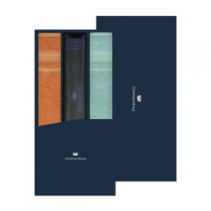 송월 타월우산세트 J (CM 스티치헤링본40 타월2 + CM 2단 빗살보더 우산1)