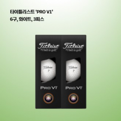 타이틀리스트 PRO V1 하프더즌 6구 로고