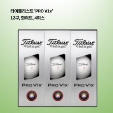 타이틀리스트 세트 9구 PRO V1x  로고