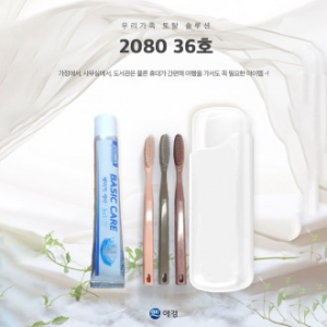 2080 36호 2080 베이직케어 치약 50g + 왕타 칫솔 + 케이스