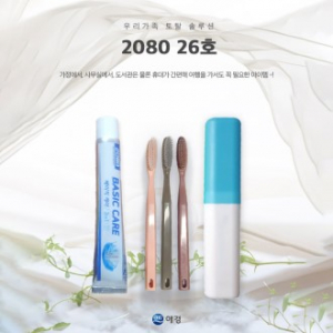 2080 26호 2080 베이직케어 치약 50g + 왕타 칫솔 + 케이스