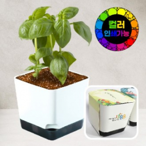 화이트사각화분 8x8 // 컬러인쇄가능