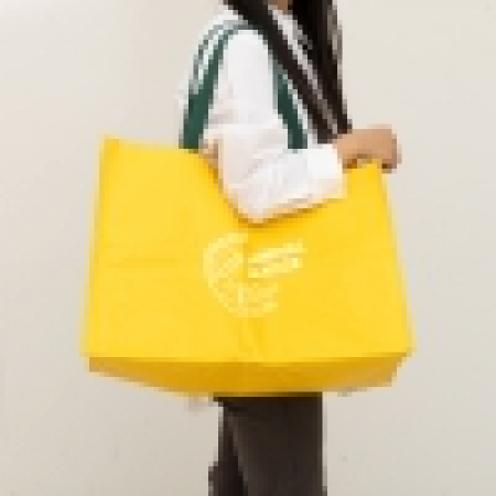 친환경 컬러 타포린백 특대형 2색 #6