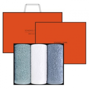 [송월타올] 항균 170g 3매입 H