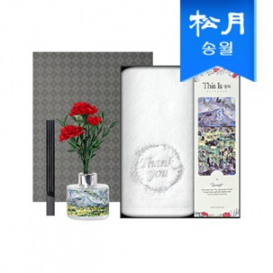 가정의달 명화 디퓨저 카네이션 타올 선물세트(디퓨저120ml1+땡큐200g뱀부얀1)