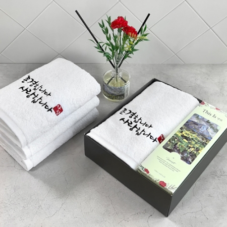 가정의달 명화 디퓨저 카네이션 타올 선물세트(디퓨저120ml1+존경합니다1) #3