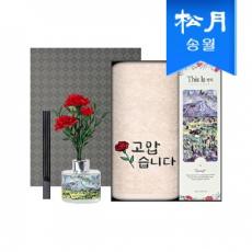 가정의달 명화 디퓨저 카네이션 타올 선물세트(디퓨저120ml1+러브유1)