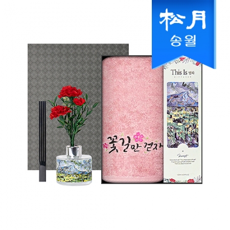 가정의달 명화 디퓨저 카네이션 타올 선물세트(디퓨저120ml1+럭키180g코마40수1) #2