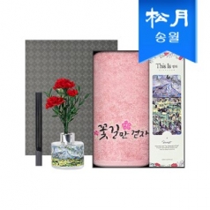 가정의달 명화 디퓨저 카네이션 타올 선물세트(디퓨저120ml1+럭키180g코마40수1)