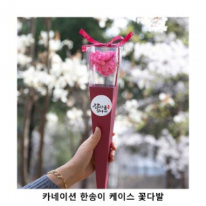 위크앤드 카네이션 한송이 케이스 꽃다발(입학식/졸업식/어버이날/스승의날)