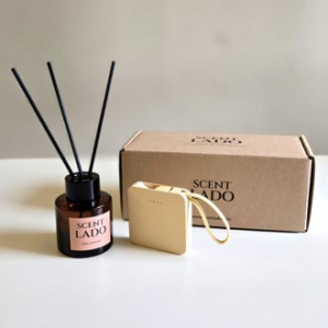 센트라도 미니 디퓨저 50ml+초미니 보조배터리 세트