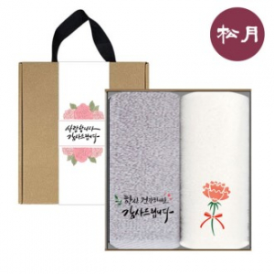 송월타올 가정의달 카네이션 타월 2매 선물 세트 + 손잡이 케이스 + 띠지