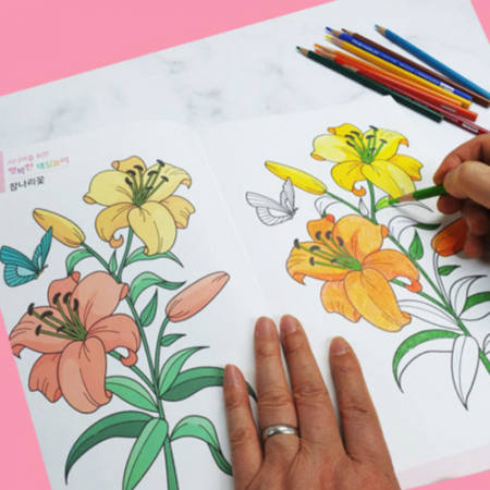 브레인 도안 색칠공부 치매예방 20종세트 // 국내생산 #3