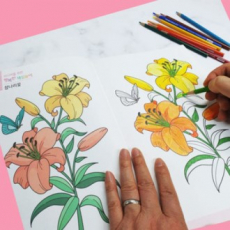 브레인 도안 색칠공부 치매예방 20종세트 // 국내생산