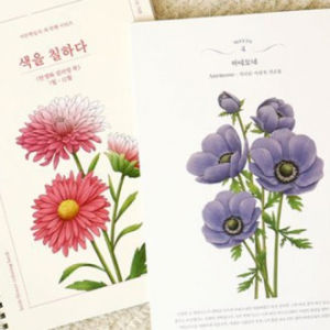 갤러리 도안 색칠공부 치매예방 컬러링북 // 국내생산