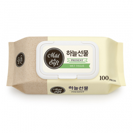 하늘선물 휴대용 물티슈 100매 #2