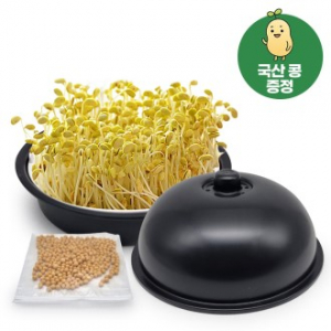 쿡투맘 콩나물/새싹 재배기 + 국산콩 증정