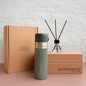 FINE 센트포유 디퓨저 120ml + 스탠리 고진공슬림보틀세트 D3