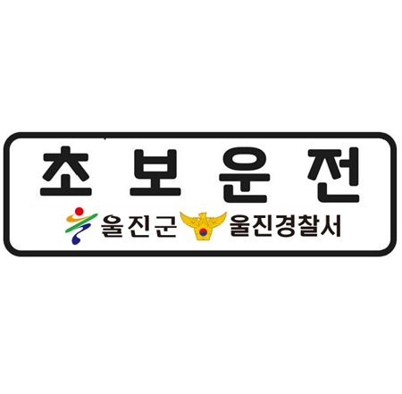 고휘도 형광 반사 스티커 -차량용 220x70mm #2